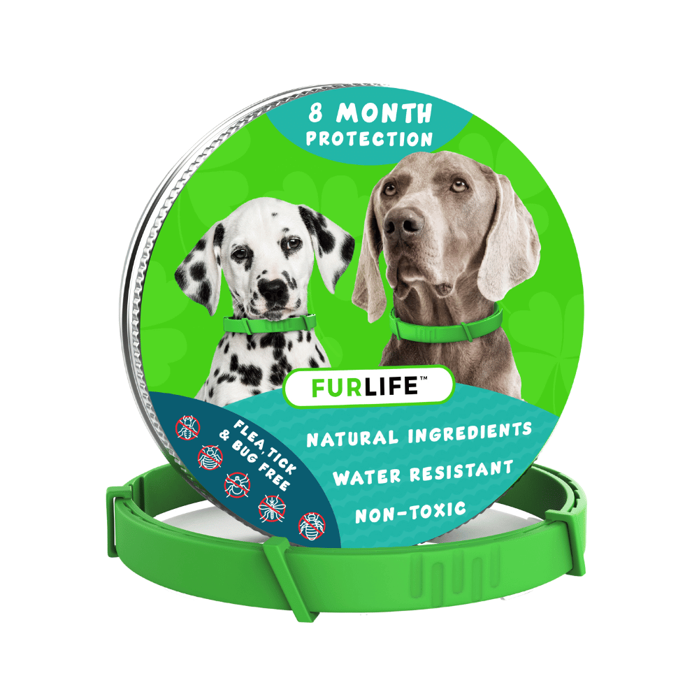 FurLife™ 8 Months Flea and Tick Free